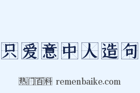 只爱意中人造句是什么意思的图片